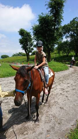 0bf68a58fca7f60f9c56fd3c5091f608