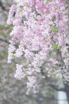 F8e2780aaf75975dbd4178da71bba186