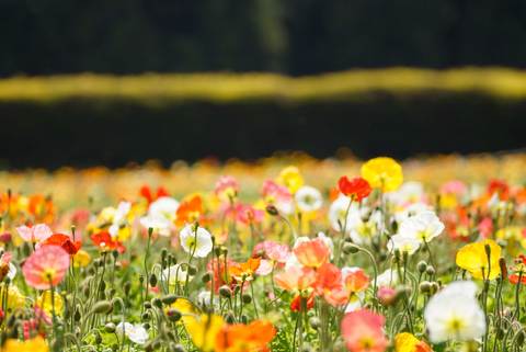 0c7a7df3daae7d182df25263668ca645