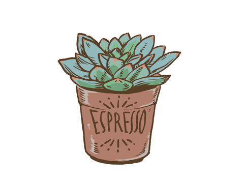 41fd81ec5de96ceb8105e5f3461d65ff