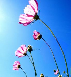 Aaba9b262ec1e2f7d8aa3d9a7905b3c8