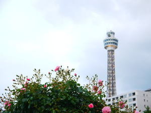 18704617bc0c4c0682efb0fd3b0b8a86