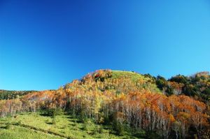 0e40c688af624bed3698ae7ddfd6f34f