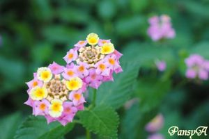 5d5037fc6890e9f35760837b8cd870d2