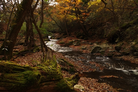 E9df4f9f135b7ca7aed65fe5479ef786