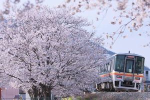 6121b3f47d4a8e9313af74be7a6b7997