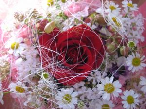 16fa76465ca142d3f7c91e63e027dbb8