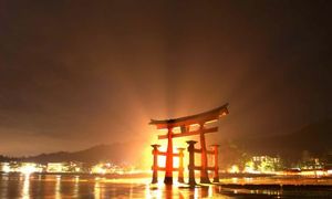 035de2e543e8f93a6772333ef4c087c9