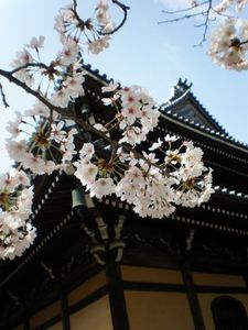 7fde925214d1c13dbfbb0b5455e6a6b3