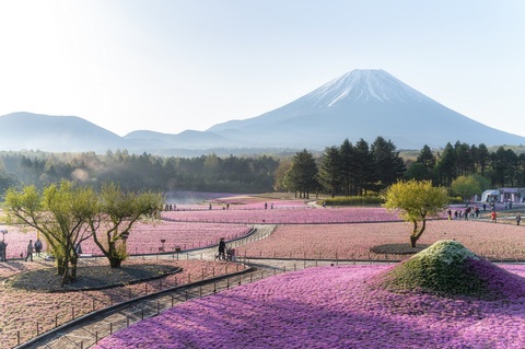 1d8d6e5867fa8149409a704ffc40e9cf