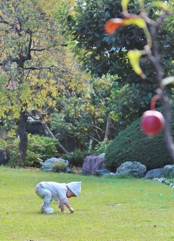 930dd9eee72ca343ea4e01b7dac70978