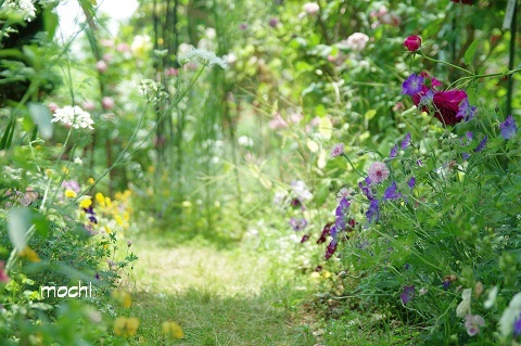 D628ca4f50c2d2dbcbc699096d08c82f