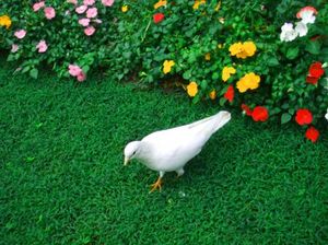 Cd465d3d5da4a41c3a7d6db49a919a73