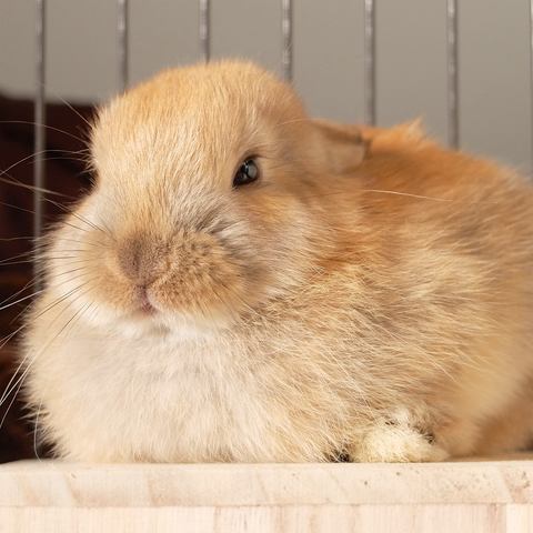 A9504a46c5823b6425bf20316ed39485