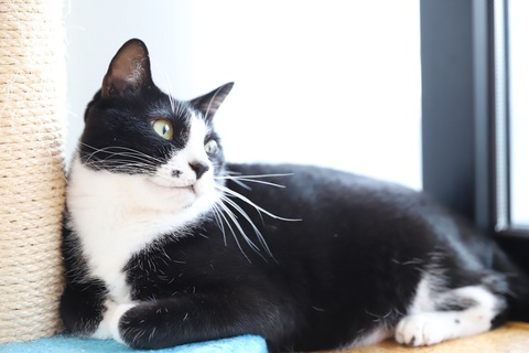 1747085b8c23a2ebfe87743a0e662900