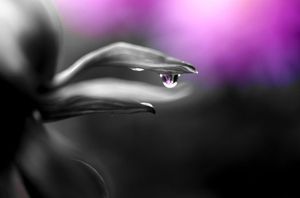 8f2e8158ad05ce79e1556f7af83918f0