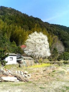 5e3a2446b3170b00e586190d1eaf2918