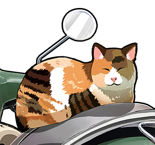 89162490799bd45eb1b79e8350315a03