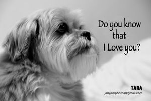 59c58e239c81f2e6654e97d66e4ff99a