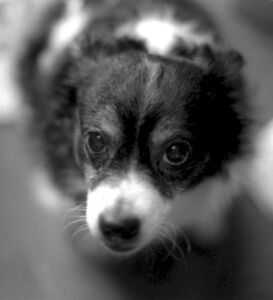 18d8df147534d3a545f7974b52b7e0fb