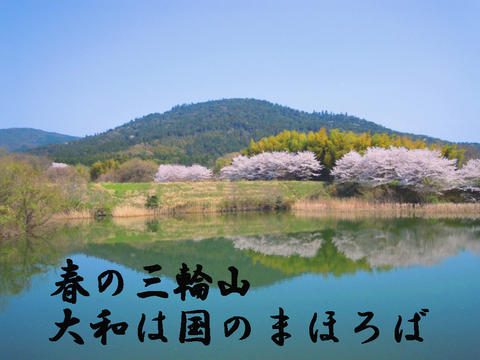 801590ee5d6d61fa7d48e5c0c5cbfc8e
