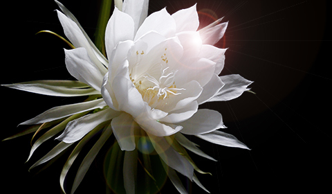 7d9b8d3707bed083a929285e812c9ff4