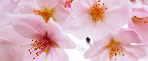 3fc2412aca8ad7bd449b3883c7473a02