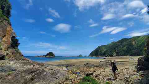 B2b742e98a5f274a9bccf1e7578d19cf