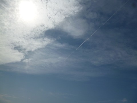 1334625d305e66924391b2747c3e4cc0