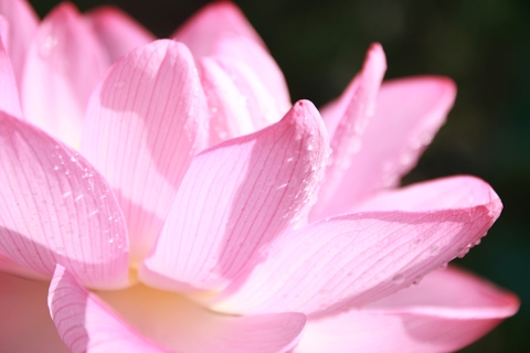 92e2381b1ad73f51088b8b47484b47af