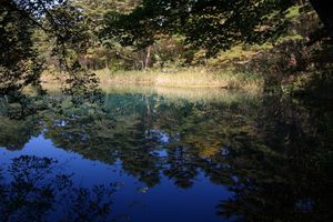 87a7d020dd0d98356b357033c5af7f06