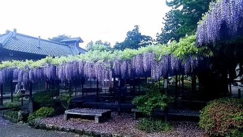 A17e066427f478828b2f735667e22a4d