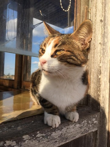 4df0b81680b48777c23b473319d3f0a6