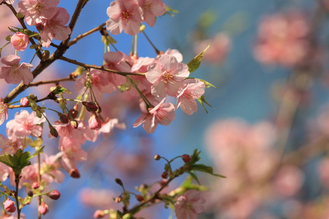 9b83ac99f06ac045d54bdffc7de496a9