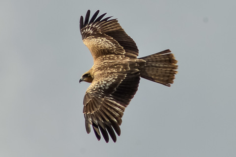 59e31c238a0b72865eb27089e8b04e2a