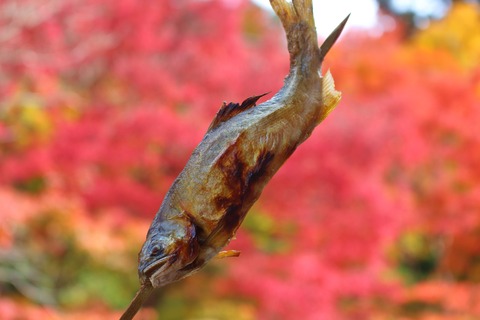 Edaf508d100a47b8f05ab4a3a6e7c21e