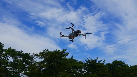 0f25c83b99ae5fa2b2f92a2e41bc4251