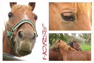 3922590be6dd927d45686497ff8f1232