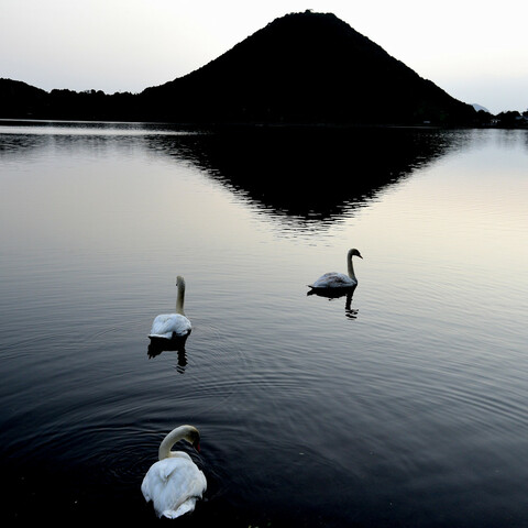 0eb1493bc3e1a3d25f712c1c8bbd9a23