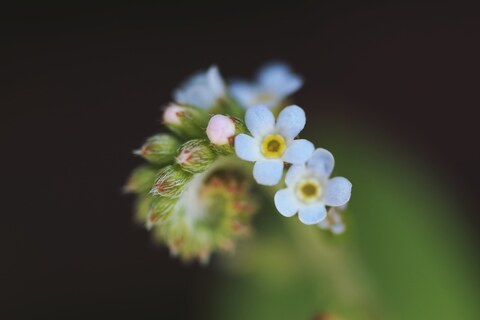 4616dcd15428ba6e04ef461148ae60f6