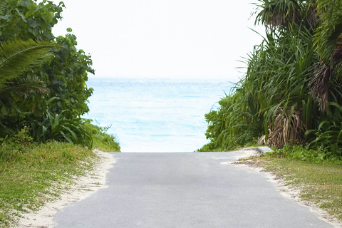 Dc75683657d79688ab4ca6af956f0d73