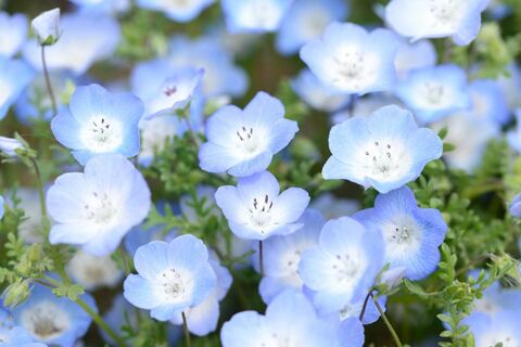 5e4f58aa60f8b36a0eae13281ac54fdf