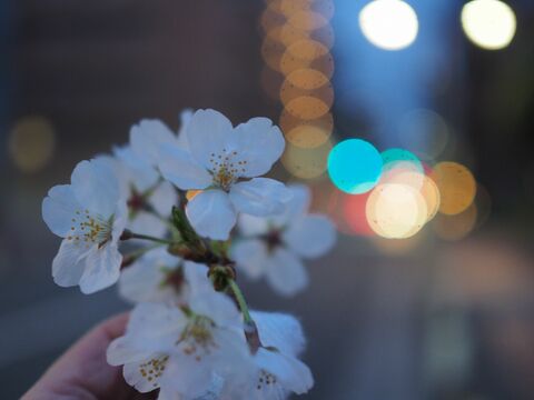 Fbdcc35e7d60473ec7a1e43c3ba455ed