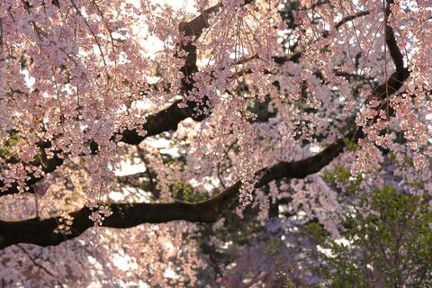 5e4990573b2798b5c099f8519850dd2b