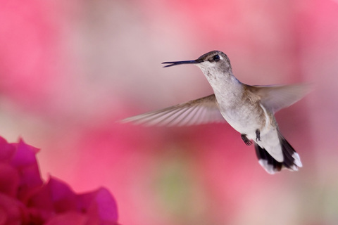 61a7e3429269696a4359fc5d9efaca7f