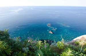 D9a745ad6a789cc67029018fdc9903ce