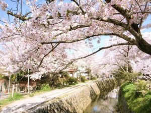 B5ebebe61f52f9f53eb7b8508aff4ffb