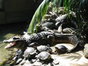 3c23ec11141f239f396929c25eb899d7