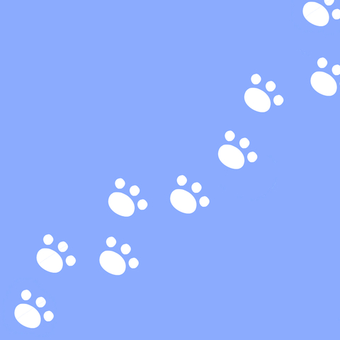 125b9bef2a93a8501b07ff66521d2edd