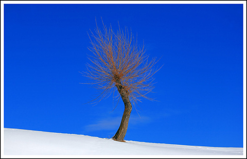 B8811513a7f4c2f8a161887d0afdddb0